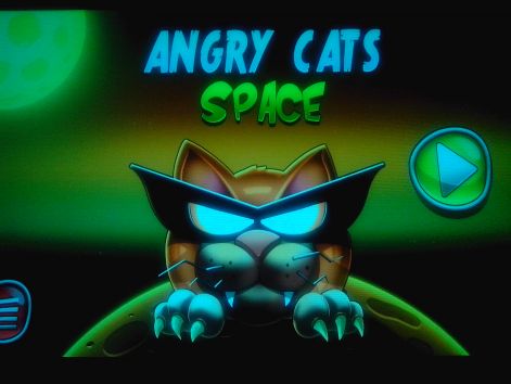 angrycatsspace1.jpg